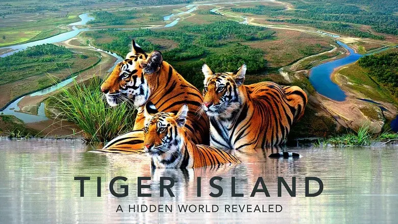 Tiger Island still 2
