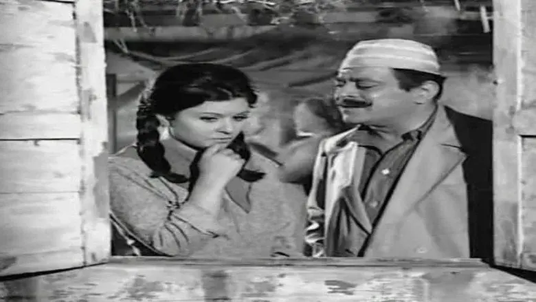 Cairo 30 still 3