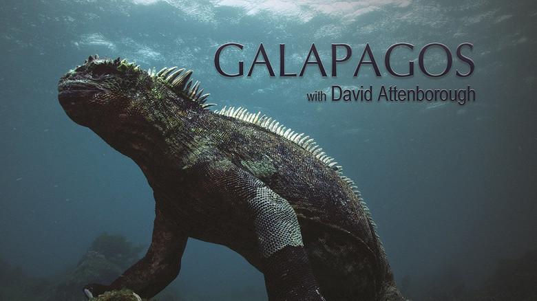 Galapagos 3D with David Attenborough still 3