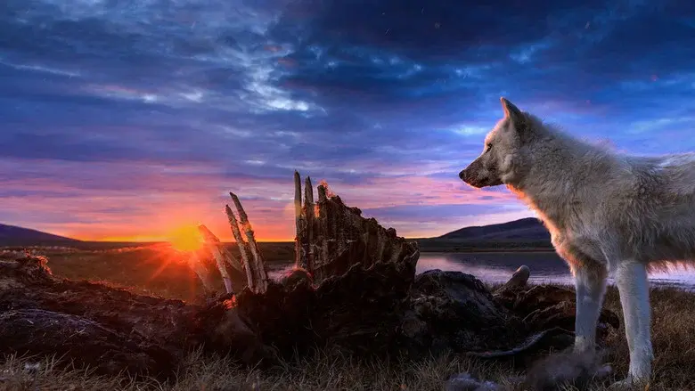 Kingdom of the White Wolf still 1