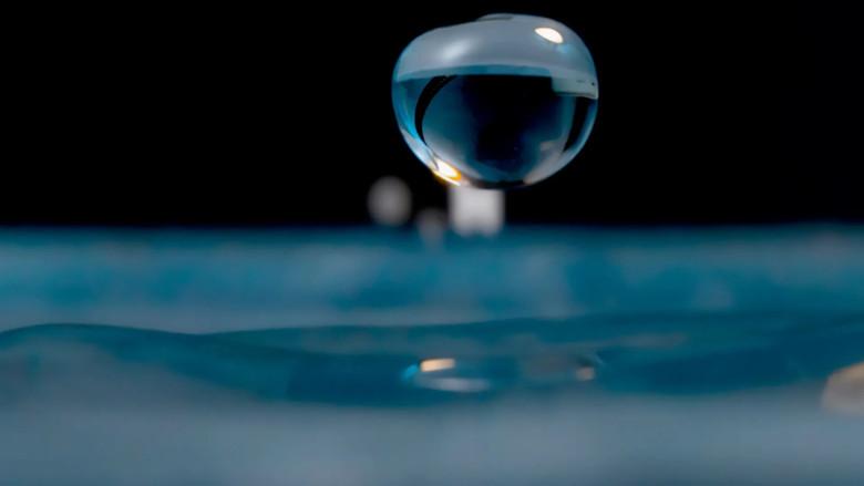 H2O: The Molecule that Made Us still 5