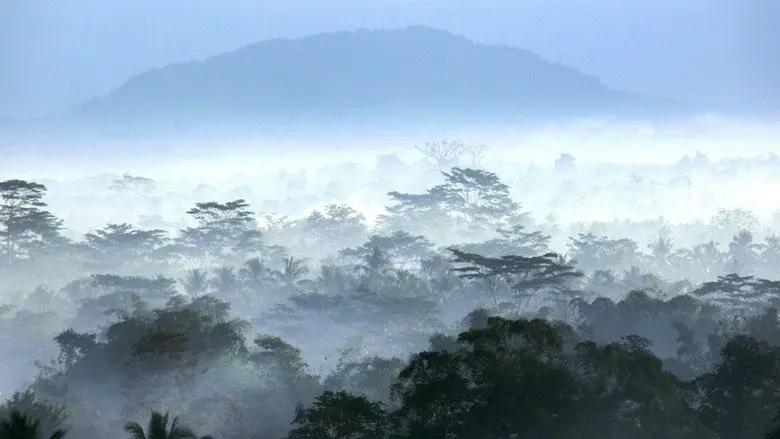 Wild Indonesia still 1