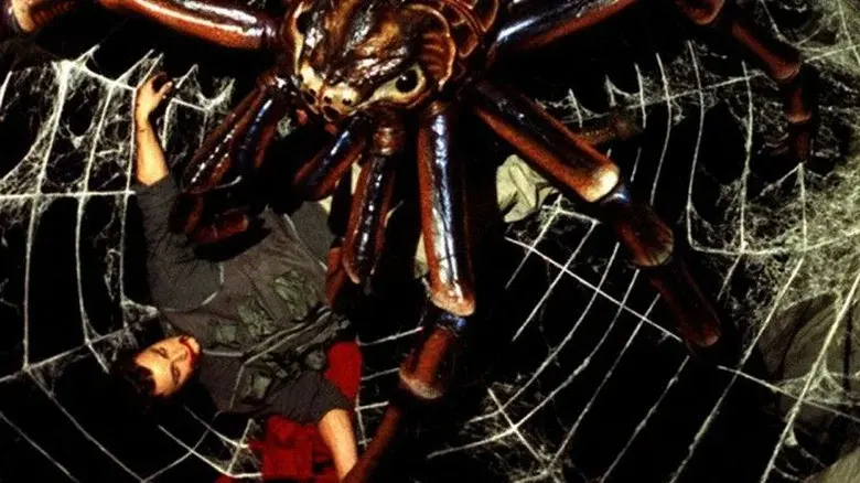 Spiders still 6