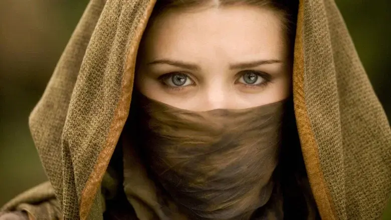 Robin Hood still 8