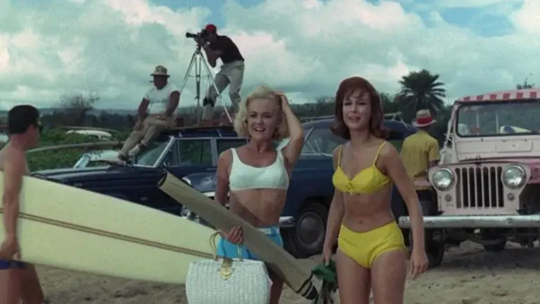 Ride the Wild Surf still 3