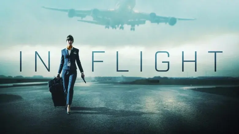 In Flight still 4