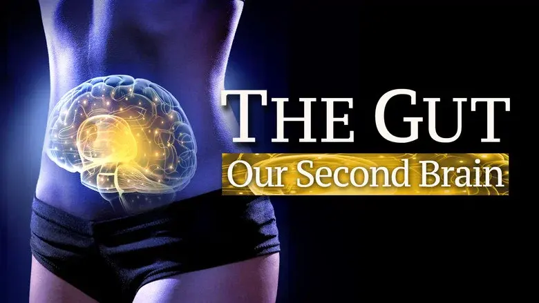 The Gut: Our Second Brain still 1