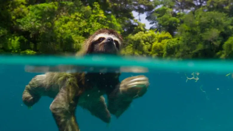 Planet Earth II still 6