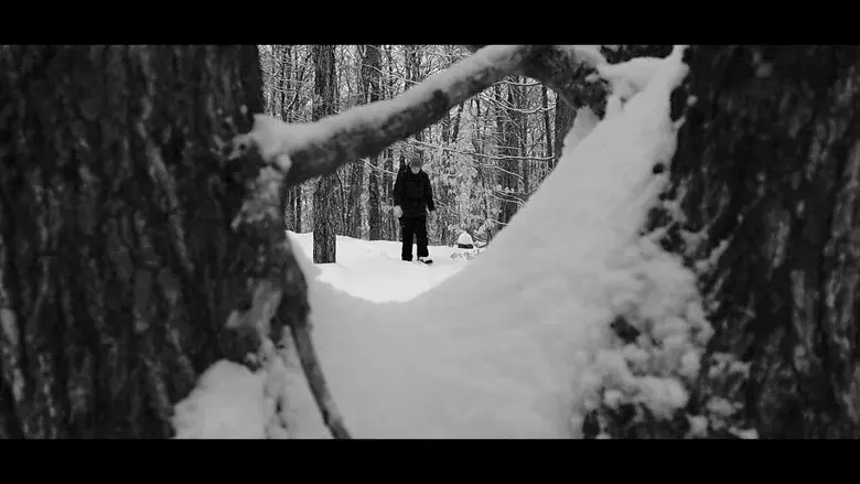 Echoes Of Ivory still 2