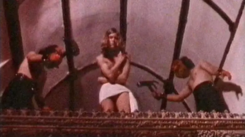 The Experiencer still 5