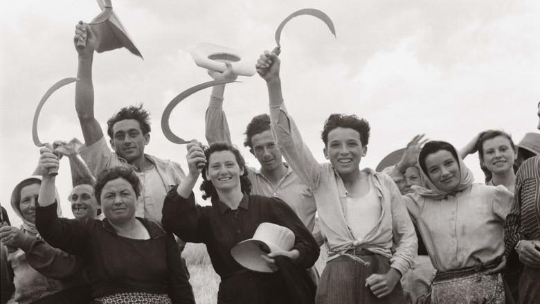 A History of the European Rural Life still 1