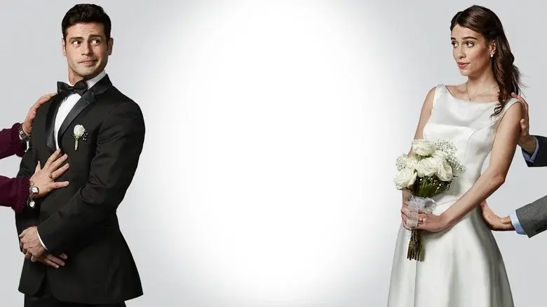 Arranged still 4