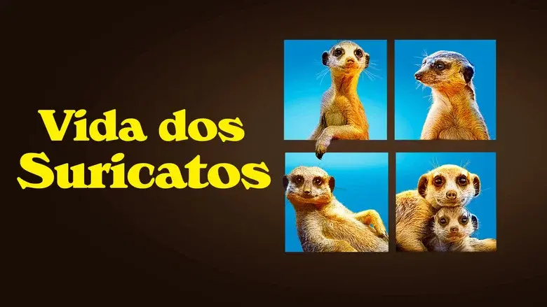 Meet The Meerkats still 2