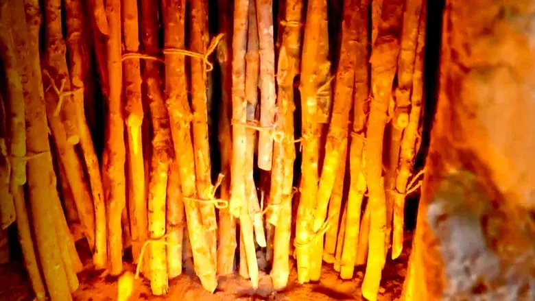 A Culture Built with Wood still 1