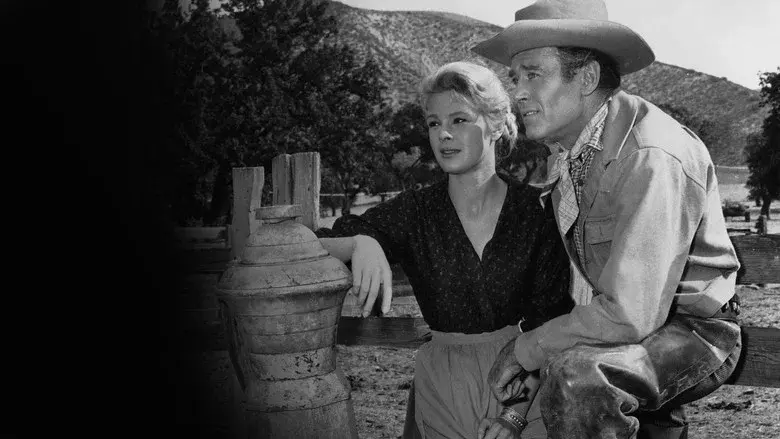 The Tin Star still 3