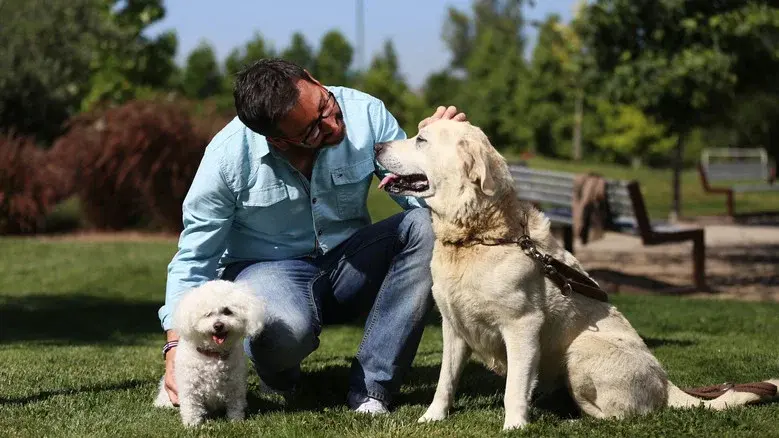 Amores perros still 1