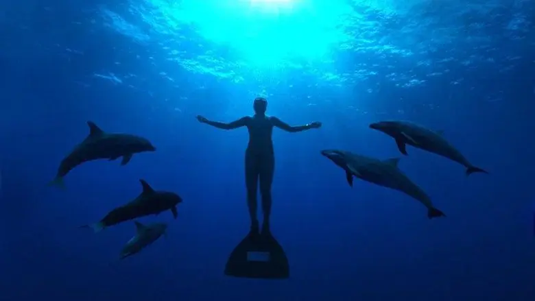 The Cove still 2