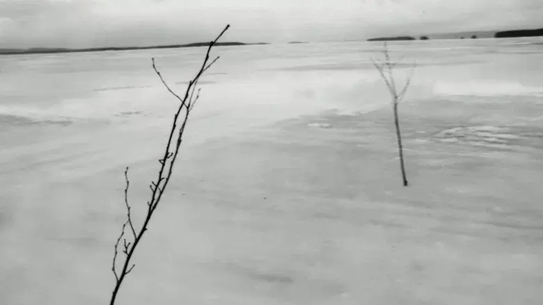 Winterreise still 2