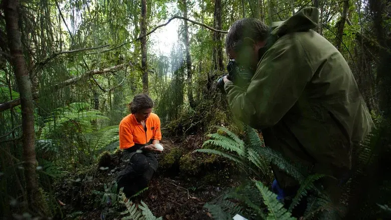 Rare: Creatures of the Photo Ark still 1