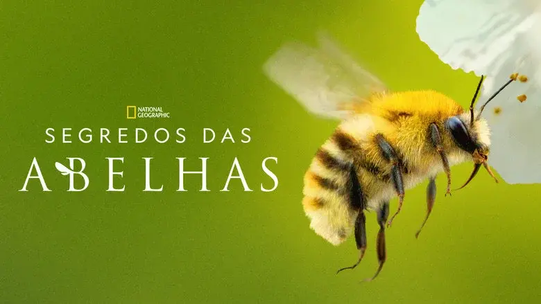 Secrets of the Bees still 7