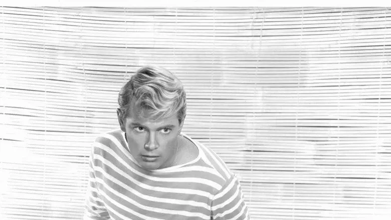 Surfside 6 still 1