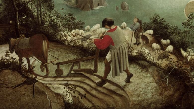 A History of the European Rural Life still 5