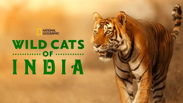Wild Cats of India still 7