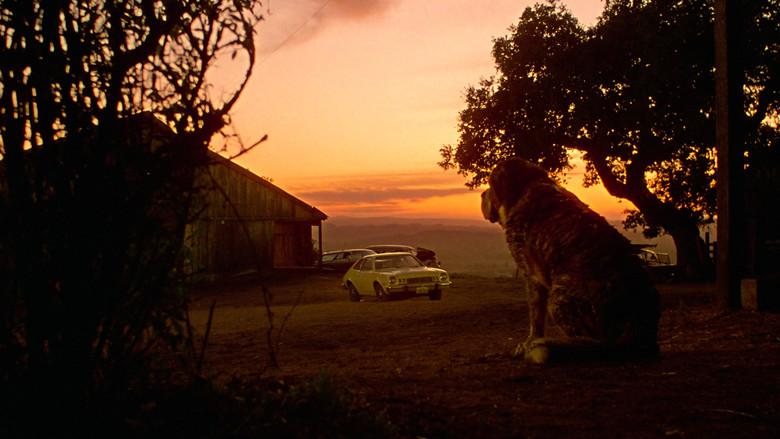 Cujo still 5