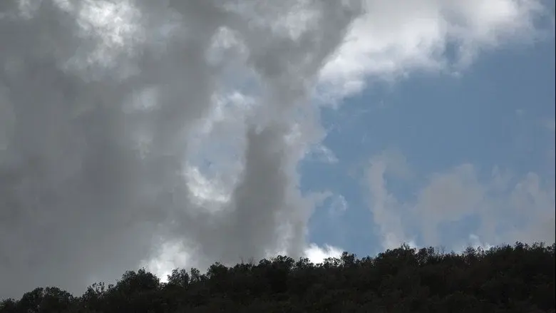 El Secret del Bosc still 1