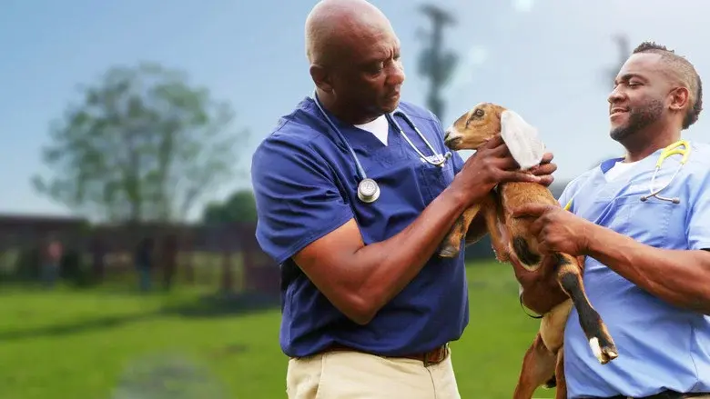 Critter Fixers: Country Vets still 6
