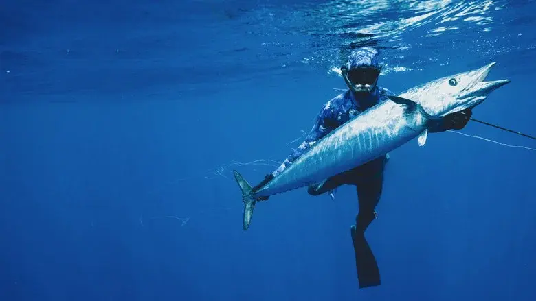 Shark vs. Tuna still 6