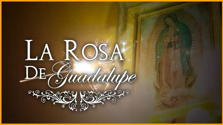 La rosa de Guadalupe still 3