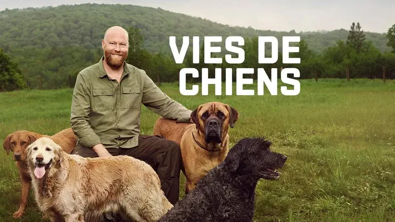 Vies de chiens still 2