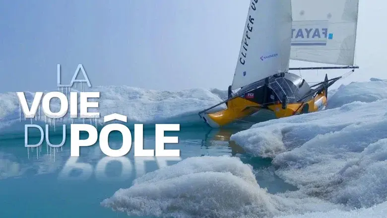 Sailing the North Pole still 1
