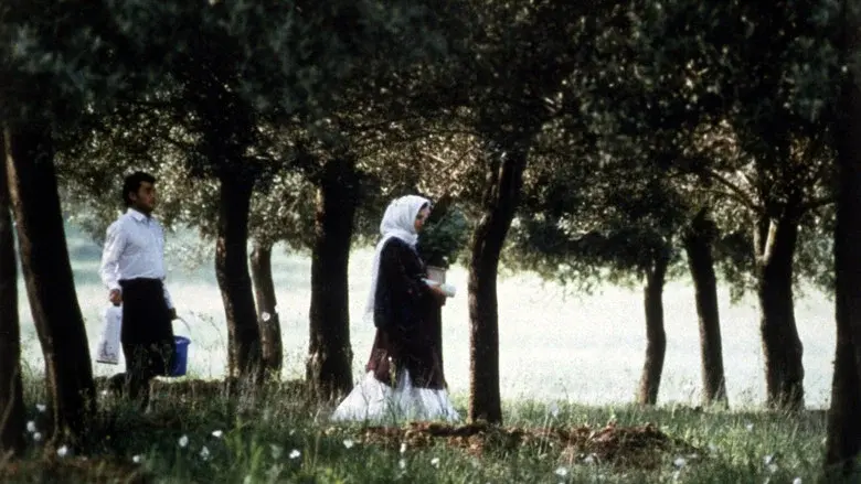 Through the Olive Trees still 4