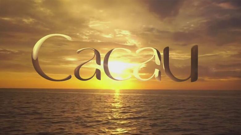 Cacau still 1