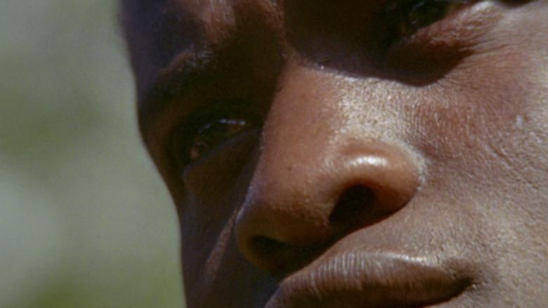 Africa Blood and Guts still 4