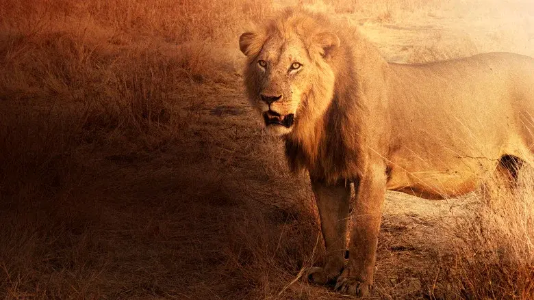 Lion Kingdom still 6