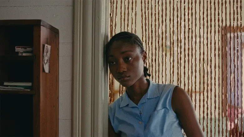 Birdie still 3