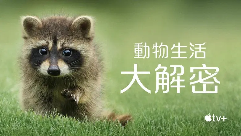 The Secret Lives of Animals still 3