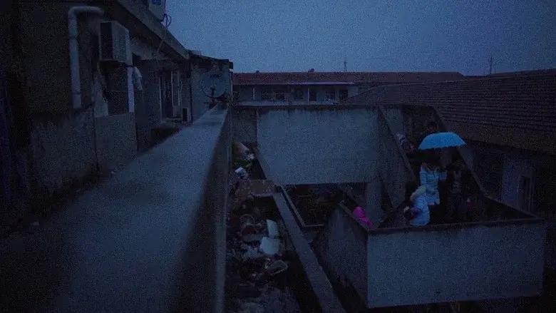 Youth (Spring) still 3