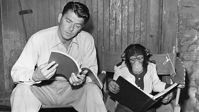Bedtime for Bonzo still 1
