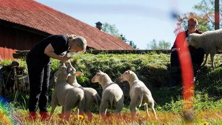 Svenska bönder still 1