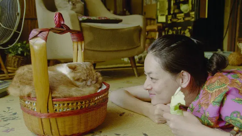 Rent-a-Cat still 1