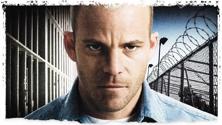 Felon still 6