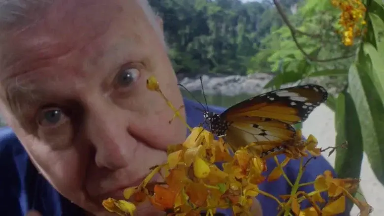 David Attenborough's Conquest of the Skies still 2
