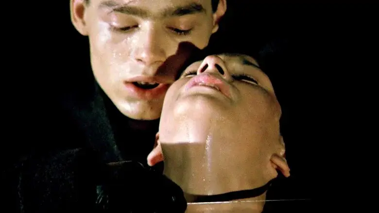 In a Glass Cage still 5