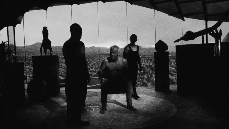 Divinity still 1
