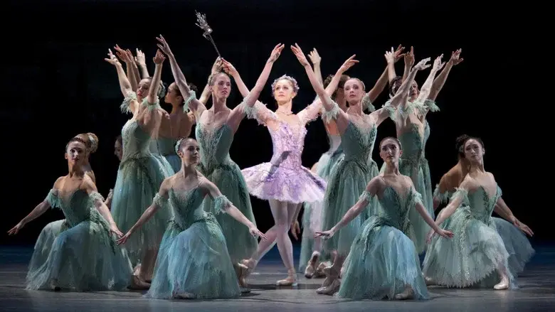 The Sleeping Beauty still 1