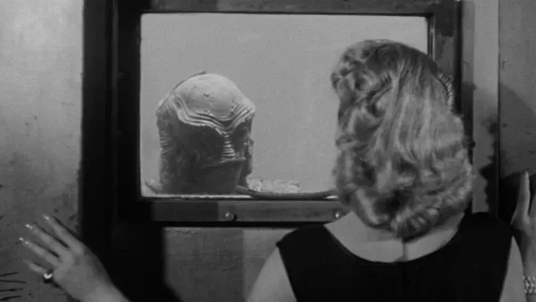 Revenge of the Creature still 6